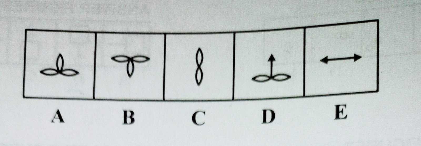 Descriptive Text