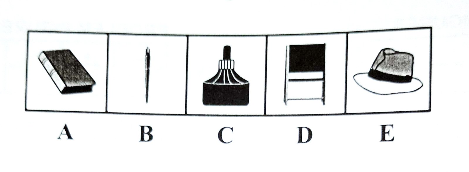 Descriptive Text