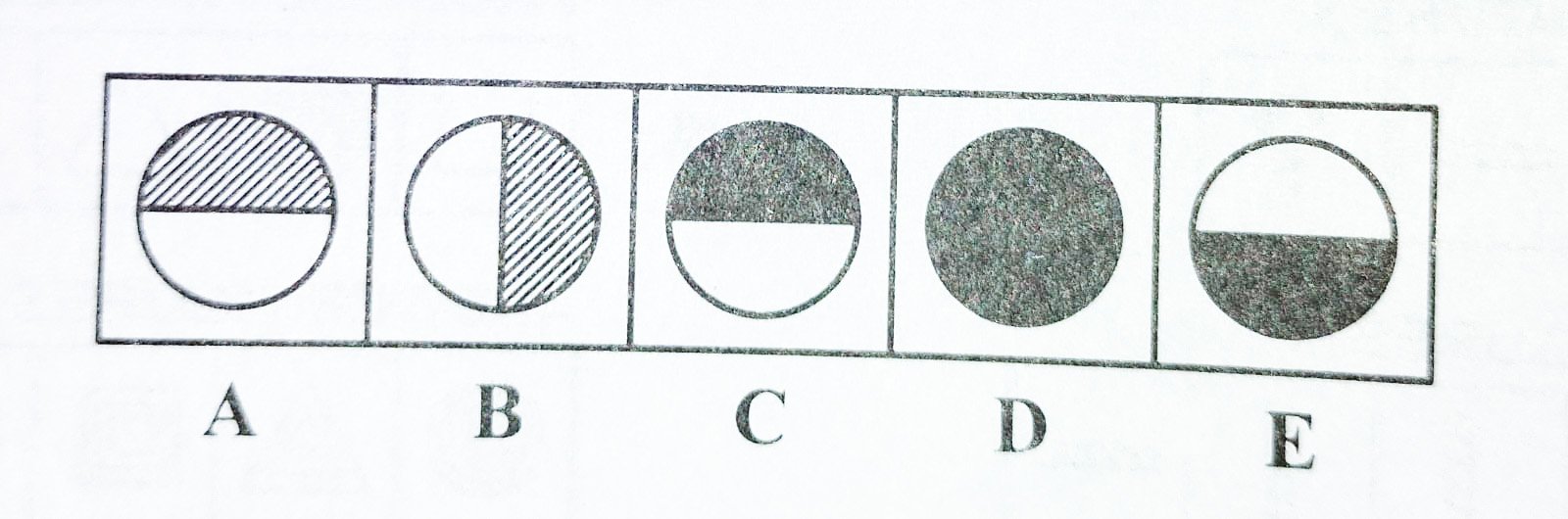 Descriptive Text