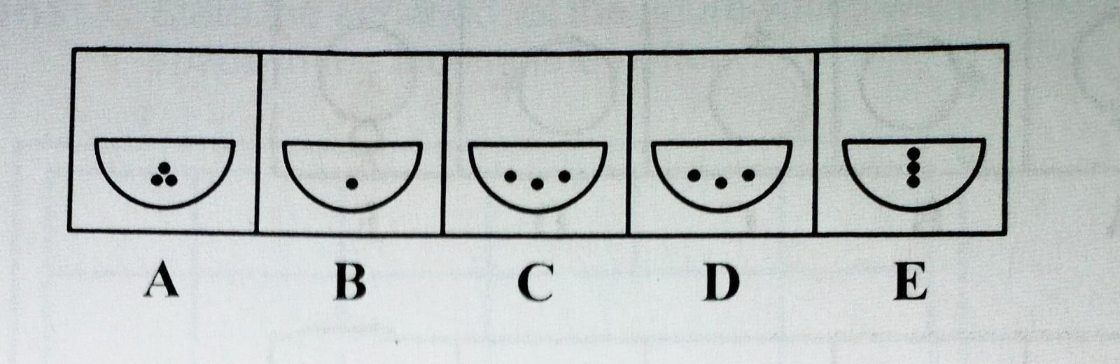 Descriptive Text