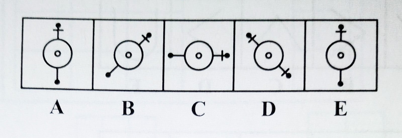 Descriptive Text