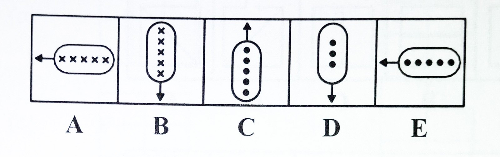 Descriptive Text